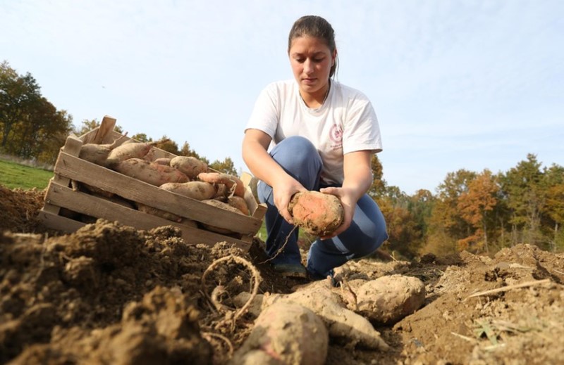 Odlasci probudili svijest ljudi, poljoprivreda opet zaživjela