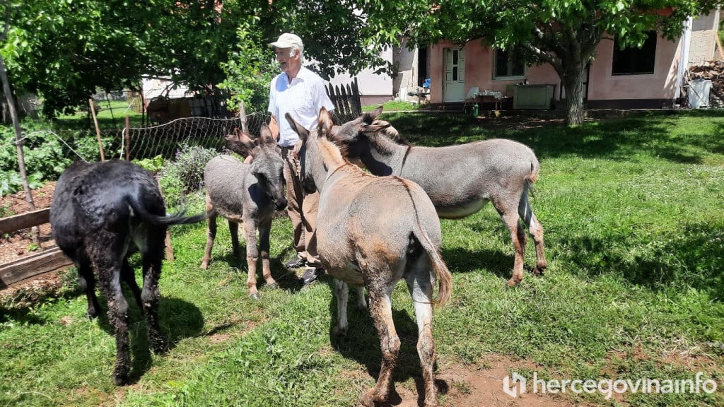 farma magaraca Berkovići